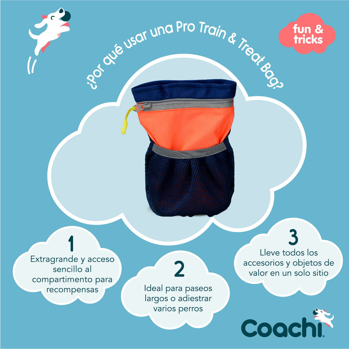 Ceruzatok Coachi Train & Treat Korall